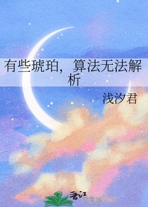 有些琥珀,算法无法解析