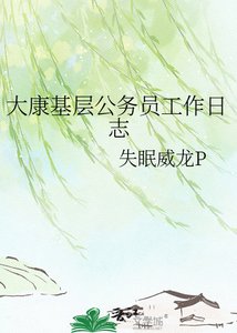 大康基层公务员工作日志