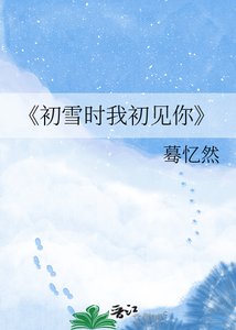 初雪时我初见你
