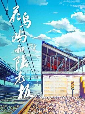 花绦屿和陆老板